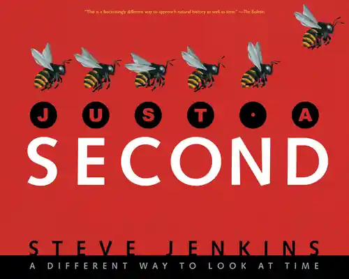 Just a Second (Paperback) Handmade